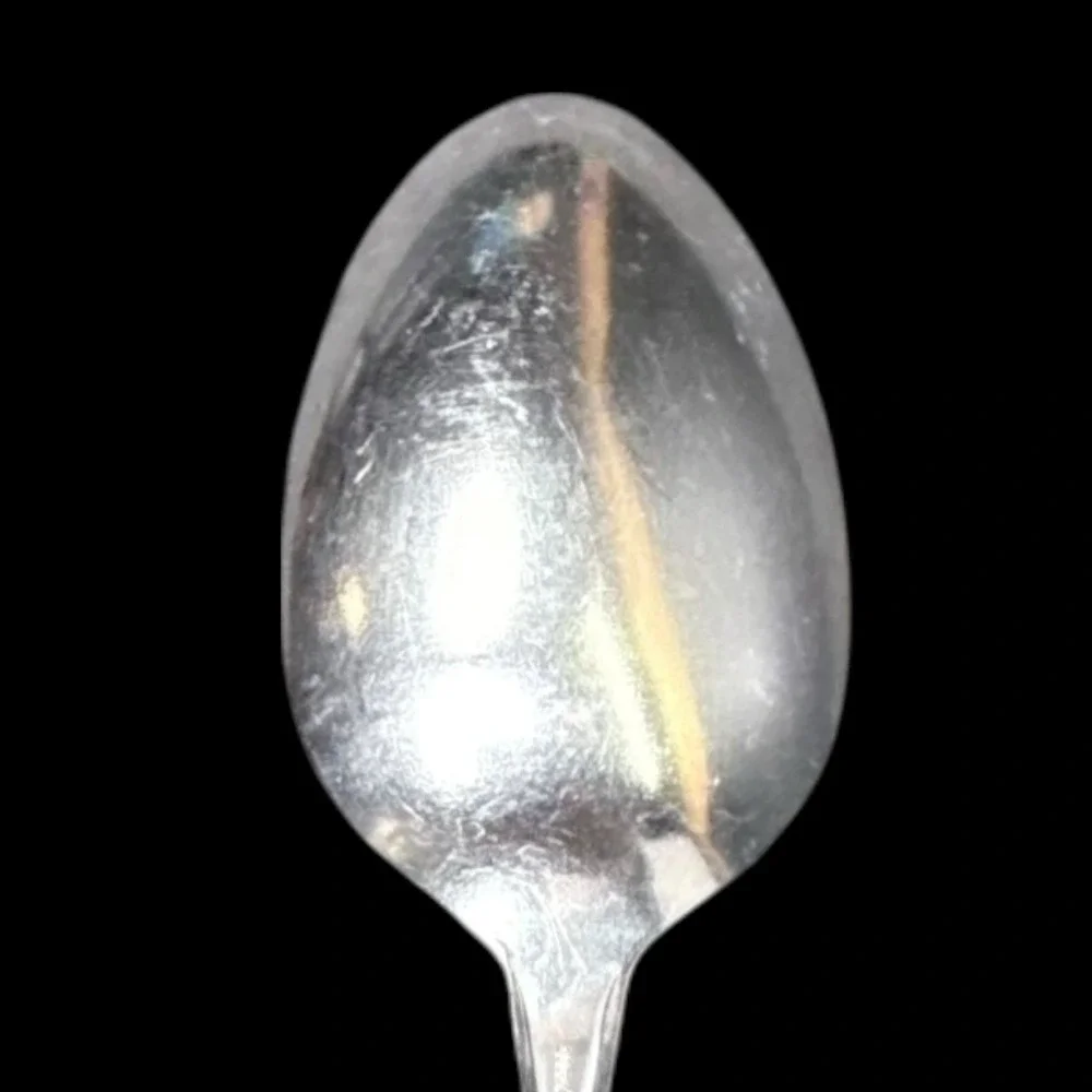 Oneida Twilight 1881 Rogers Stainless Flatware Serving‎ Spoon 8 1/2